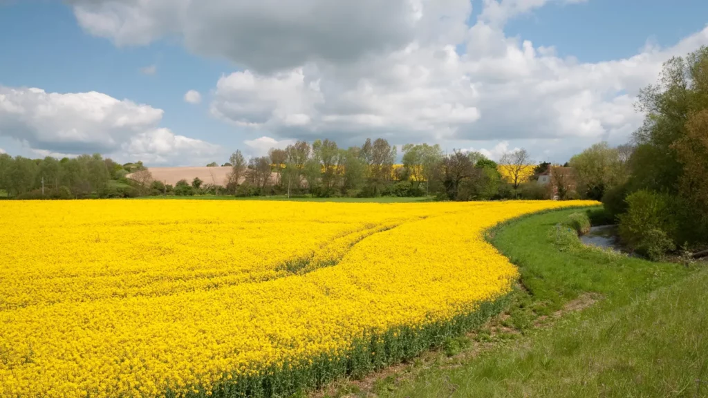 Brimstone UXO Latest UXO News 1