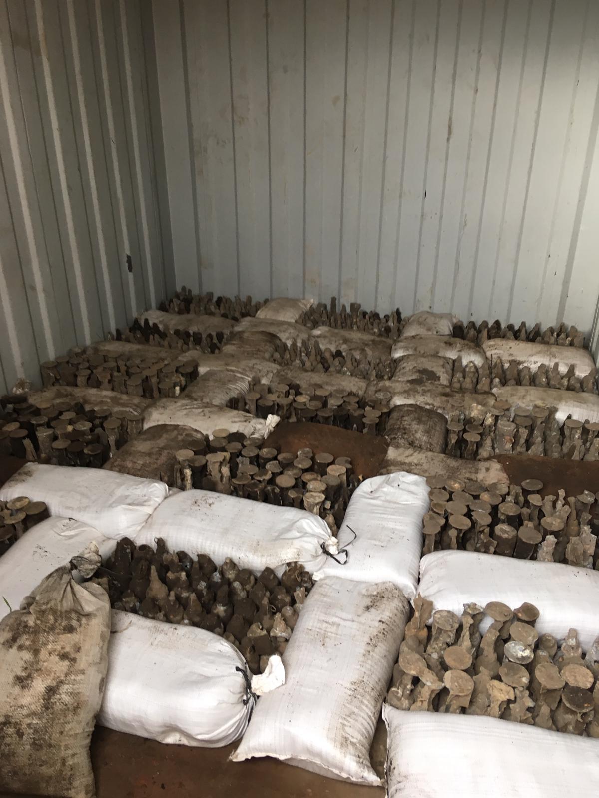 Stored rifle grenades ready for disposal.